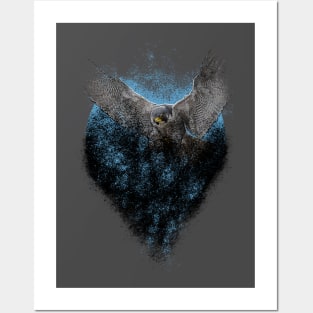 falcon moon Posters and Art